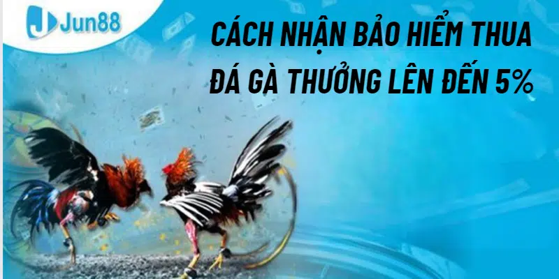 Hướng dẫn cách nhận bảo hiểm thua đá gà thưởng lên đến 5%